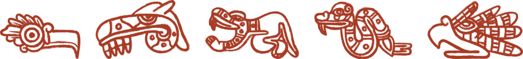 immagine para beber scaled